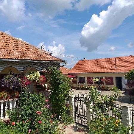 La Mosu-N Retezat Nucsoara (Hunedoara) Exterior foto