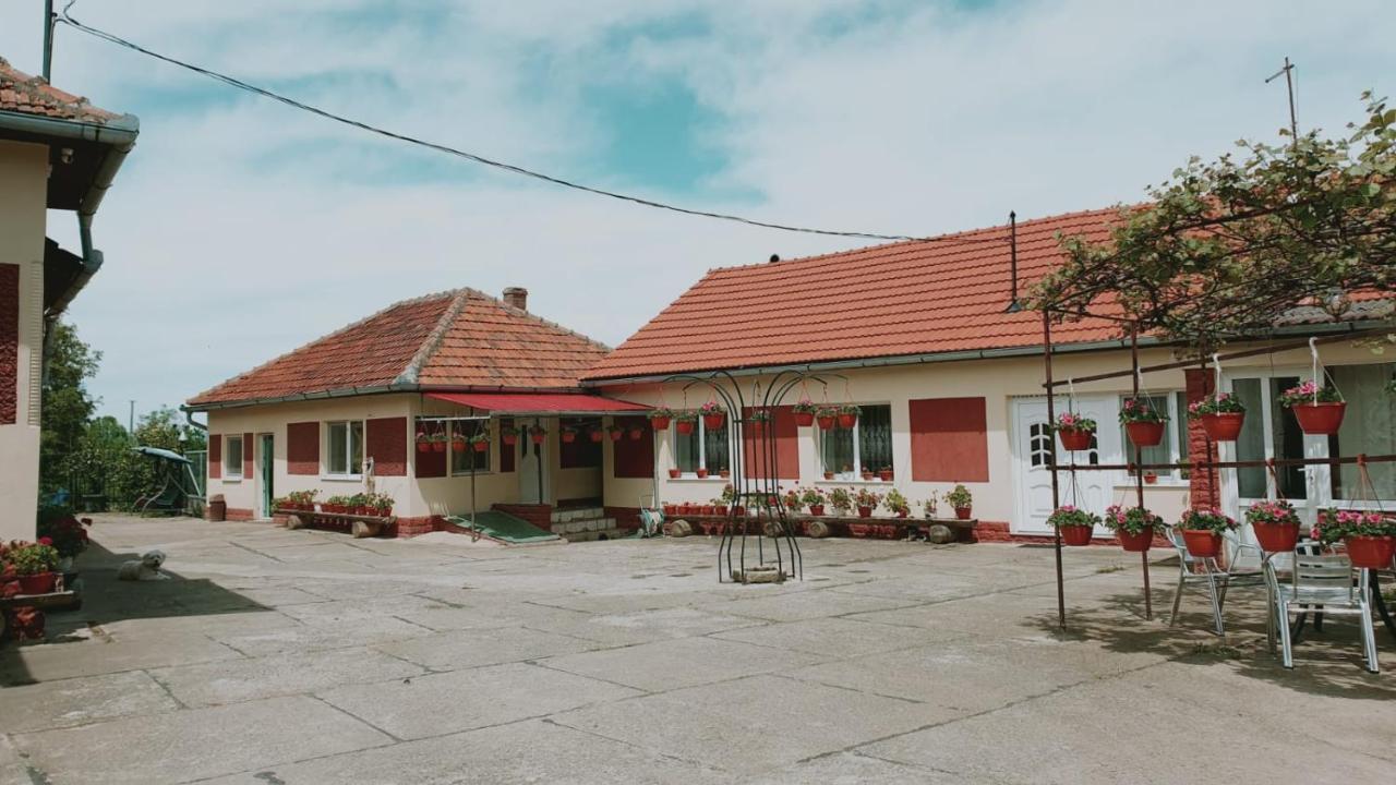 La Mosu-N Retezat Nucsoara (Hunedoara) Exterior foto