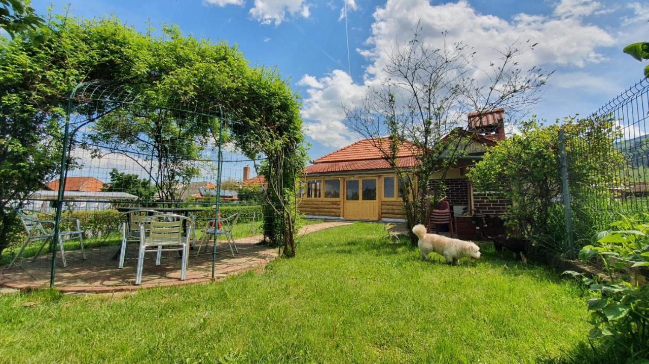 La Mosu-N Retezat Nucsoara (Hunedoara) Exterior foto