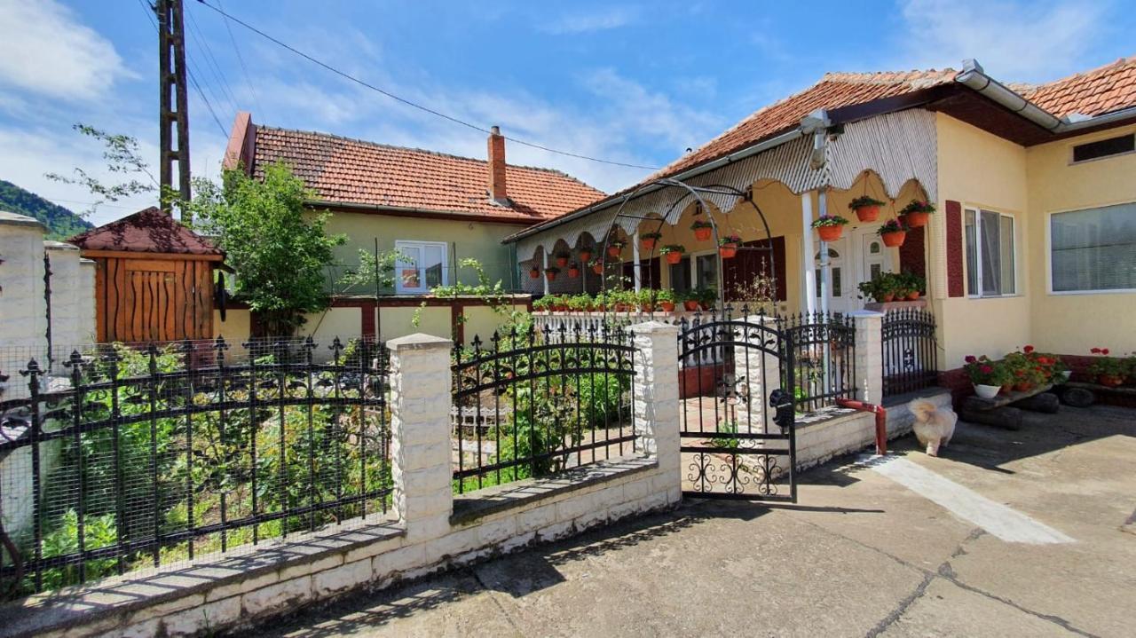 La Mosu-N Retezat Nucsoara (Hunedoara) Exterior foto