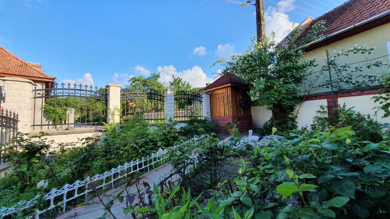 La Mosu-N Retezat Nucsoara (Hunedoara) Exterior foto