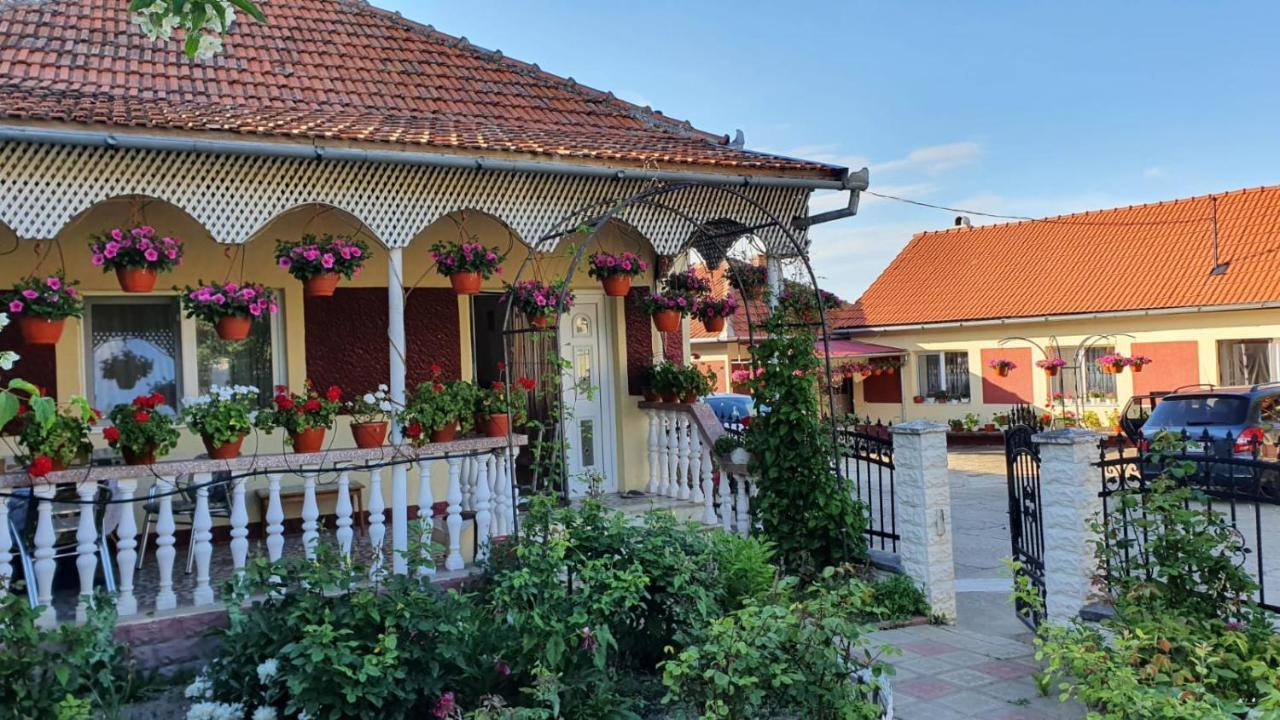 La Mosu-N Retezat Nucsoara (Hunedoara) Exterior foto