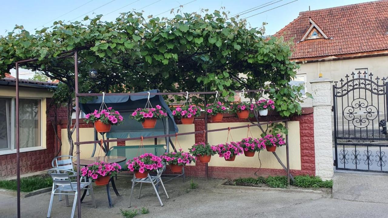 La Mosu-N Retezat Nucsoara (Hunedoara) Exterior foto