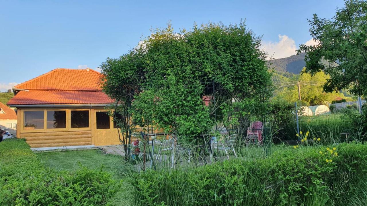 La Mosu-N Retezat Nucsoara (Hunedoara) Exterior foto