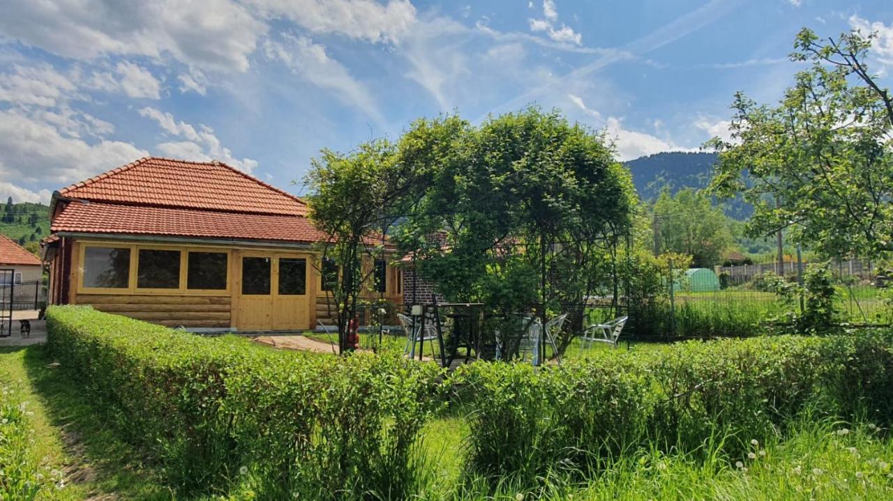 La Mosu-N Retezat Nucsoara (Hunedoara) Exterior foto