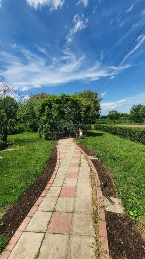La Mosu-N Retezat Nucsoara (Hunedoara) Exterior foto