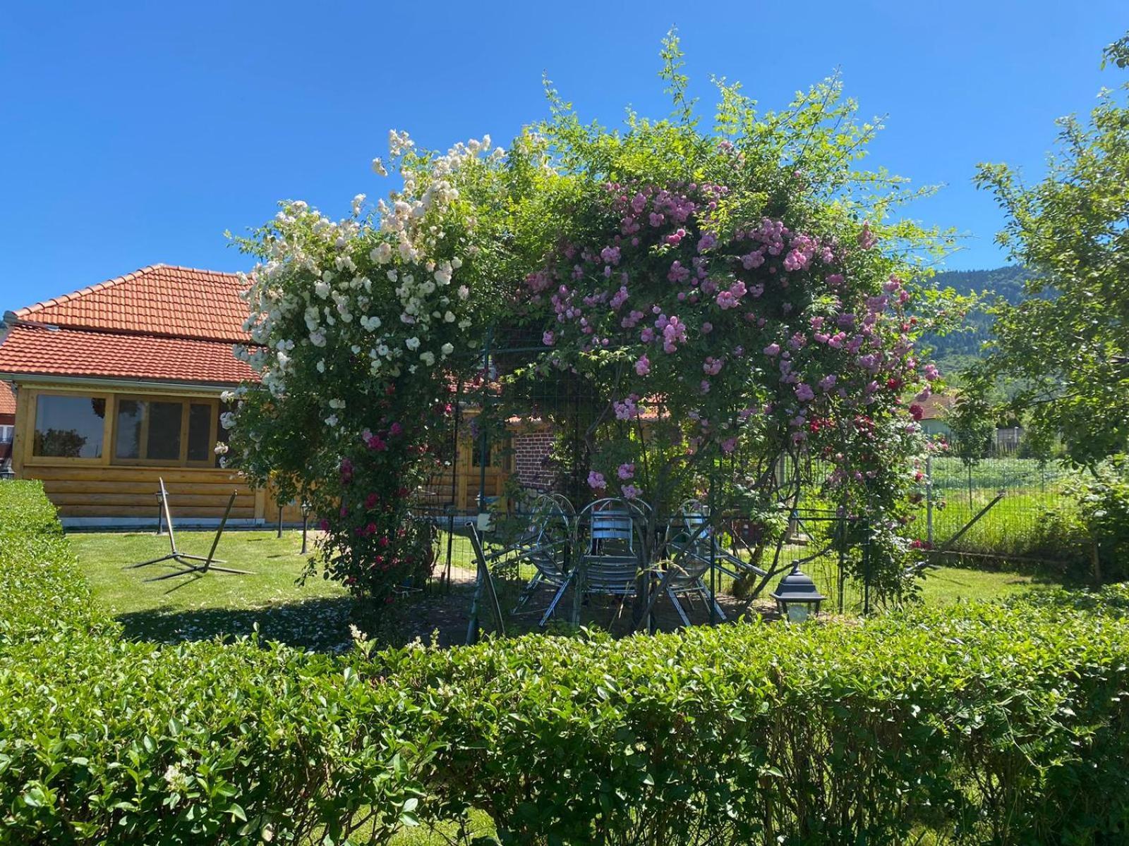 La Mosu-N Retezat Nucsoara (Hunedoara) Exterior foto