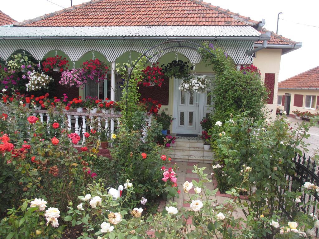 La Mosu-N Retezat Nucsoara (Hunedoara) Exterior foto