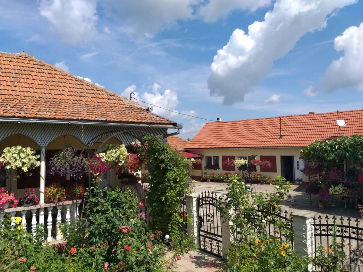 La Mosu-N Retezat Nucsoara (Hunedoara) Exterior foto